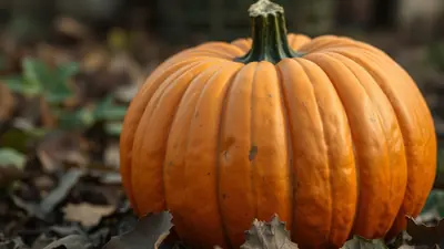 World Held Hostage: Halloween Reunion Show image