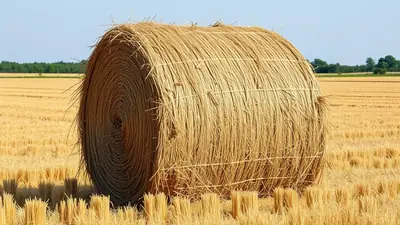 A close-up view of a large, round hay bale in a field, with the texture of the straw clearly visible in concentric circles.